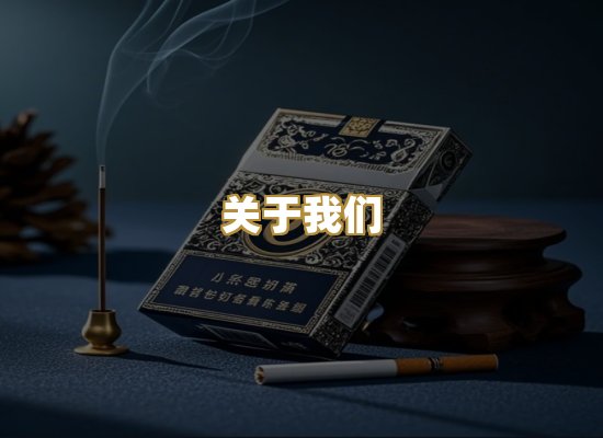关于我们